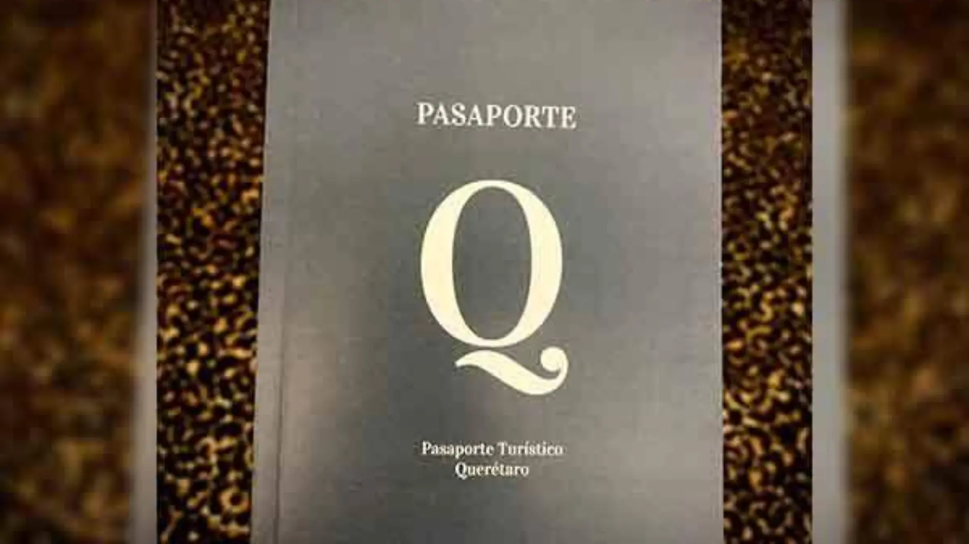 SJR El pasaporte